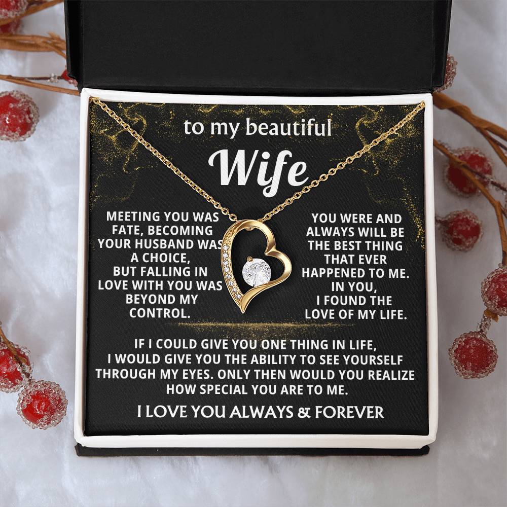 To My Beautiful Wife - I found the love of my life